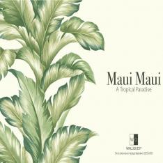 Maui-Maui