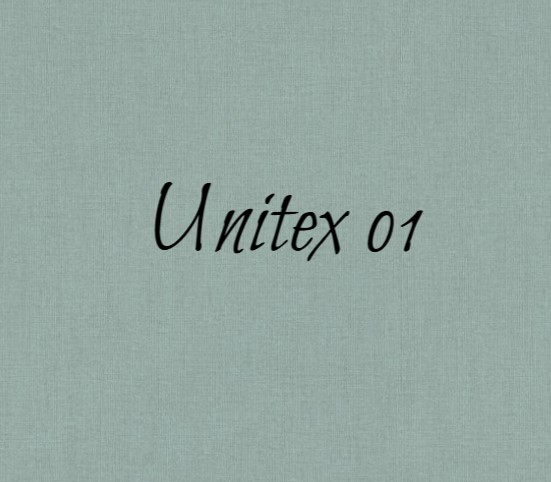 Unitex 01