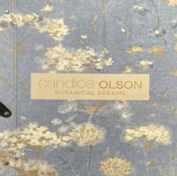 Candice Olson Dream On