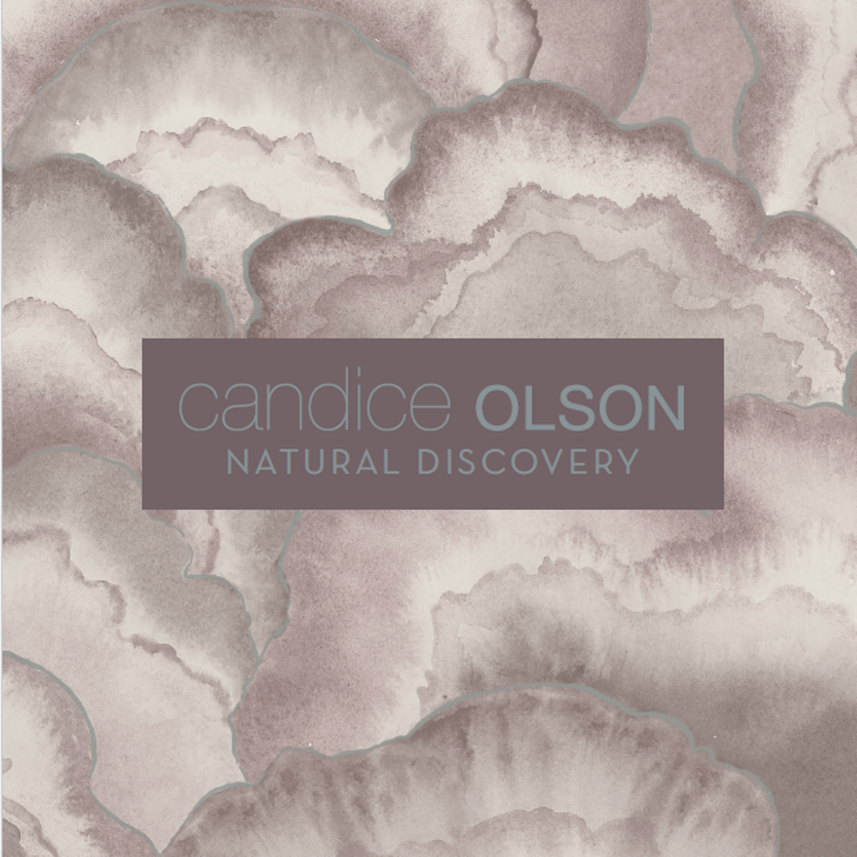 Candice Olson Natural Discovery