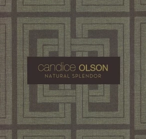 Candice Olson Natural Splendor