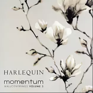 Momentum 3