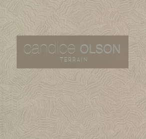 Candice Olson Terrain