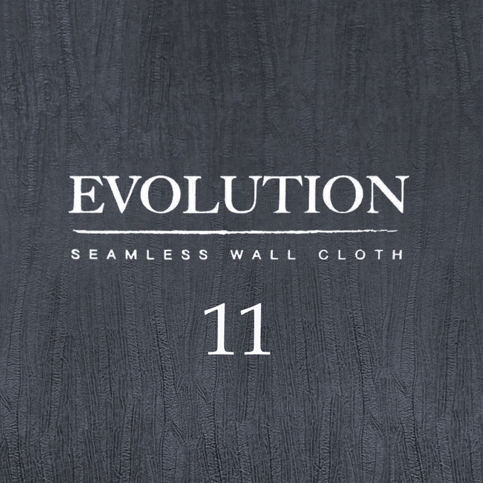 Evolution 11