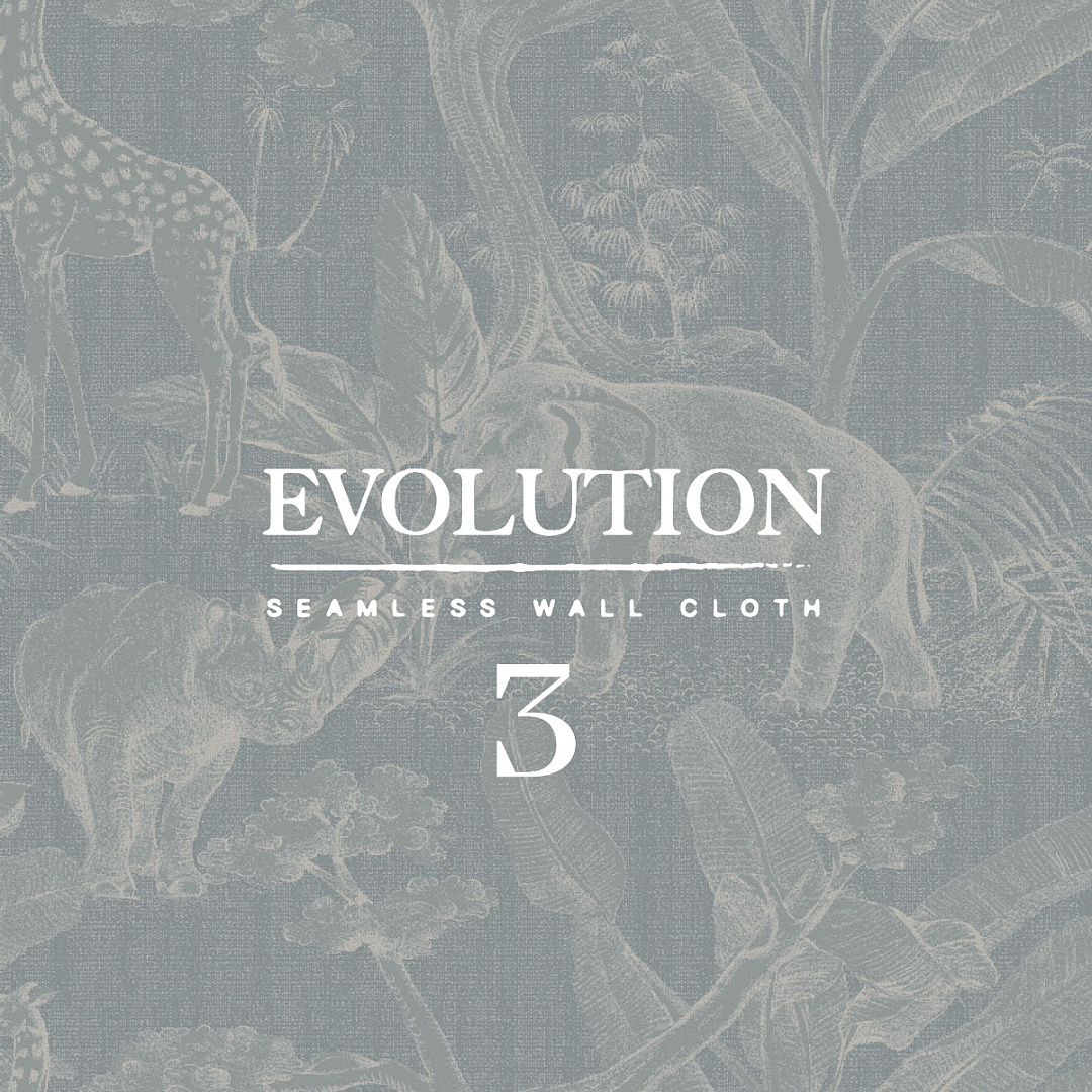 Evolution 3
