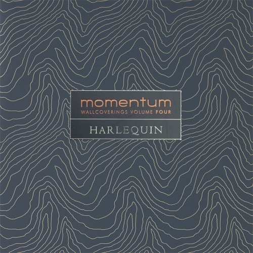 Momentum 4