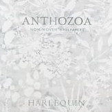 Anthozoa