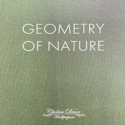 Geometry of nature