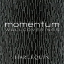 Momentum 4