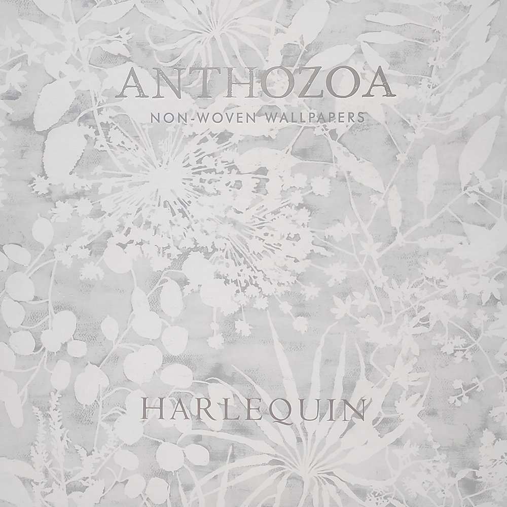 Anthozoa