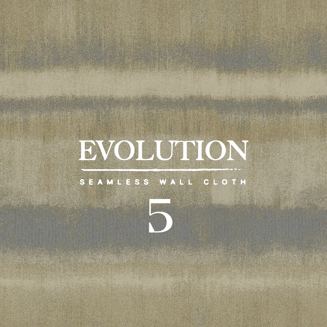 Evolution 5